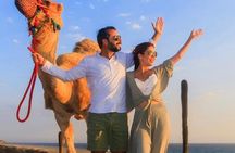 Camel Adventure with Lunch & Tasting