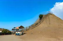 Full-Day Private Tour of El Totumo and Manzanillo with Lunch