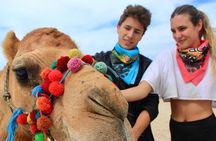Camel Adventure with Lunch & Tasting
