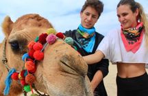 ATV and Camel Ride COMBO Adventure 