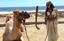 Cabo Dual Adventure: ATV Thrill + Camel Ride Bliss
