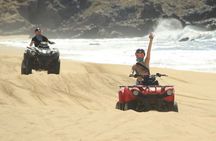 Cabo Dual Adventure: ATV Thrill + Camel Ride Bliss