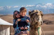 Camel Ride in the Palm Grove of Marrakech