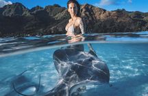 Private Marine Wildlife Adventure with Underwater Photography