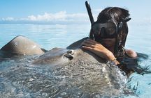 Private Marine Wildlife Adventure with Underwater Photography