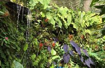 Admission to Andoke Butterfly Center in Cali with Release Ritual