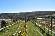 Uncover a Secluded Vineyard for Lunch 
