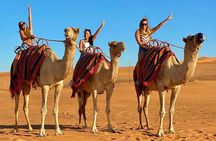 Morning Desert Safari Dubai:Red Dunes Desert,Camel Ride,Sand Boarding (Private)