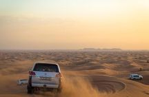 Morning Desert Safari Dubai:Red Dunes Desert,Camel Ride,Sand Boarding (Private)