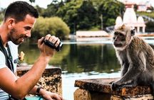 Best of the South-West, Instagram PhotoShoot Tour with Mauritian Lunch on the go