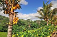 Highlights of the West Coast with Sunset at Chamarel Viewpoint, Private Tour