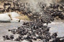 5 Days Tanzania Private Group Safari