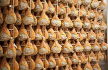 Parmesan and Ham Factory Tour