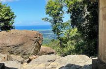 Waterfall Hike in Remote Area of El Yunque Rainforest; San Juan