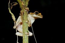 4 Days Tour to Tambopata National Reserve