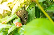 4 Days Tour to Tambopata National Reserve