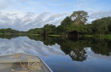 4 Days Tour to Tambopata National Reserve