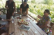 Winery Tour and Tasting in Corfu` with the Sommelier