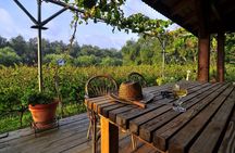 Winery Tour and Tasting in Corfu` with the Sommelier