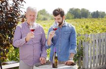 Winery Tour and Tasting in Corfu` with the Sommelier