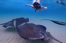 Stingray City and Starfish Experience with Coral Reef Snorkeling
