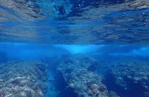 Private 4 Hours Reef Discovery Luxury Private Treasure Hunt in Bora Bora