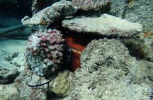 Private 4 Hours Reef Discovery Luxury Private Treasure Hunt in Bora Bora