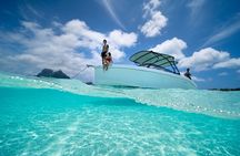 Reef Discovery Luxury Water Lunch Cruise