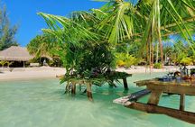 Reef Discovery Luxury Water Lunch Cruise