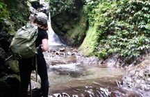 All Inclusive Mindo Cloud Forest in a Private Full Day Tour