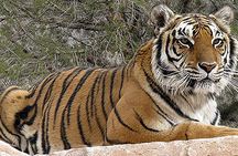 Wild Animal Nature Park Scenic Route 66 Crozier Canyon