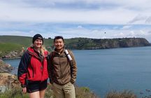 Private Walking Tour From Christchurch - Lyttelton & Godley Head