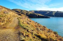 Private Walking Tour From Christchurch - Lyttelton & Godley Head