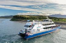 Navigation to the Penguins island - USHUAIA - Beagle Channel