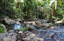 Maiala Rainforest Tour