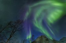 Northern Lights Chase by Bus in Tromso