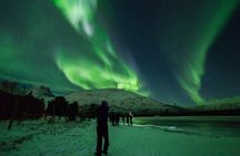 Northern Lights Chase by Bus in Tromso