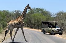 Morning or Afternoon Safari Tour