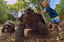 Adventure Power Boat Tour Antigua and Private Laviscount Island