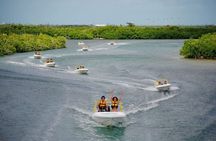 Cancun Mangroves Tour with Shared Speed Boats Ride and Snorkelling