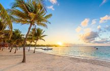 Experience swimming with turtles and explore the ruins of Tulum. Lunch included.