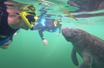 Small Group Manatee Swim Tour With Free Photos
