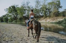 Bijagual Waterfall & Horse Back Riding 