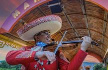 Tour Xoximilco From Cancun with Transportation Included