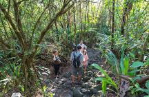 3-in-1 Arenal Volcano River Safari Float, La Fortuna Waterfall and Volcano Hike