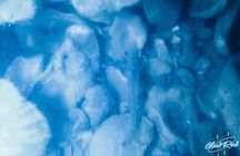 Glowing Kayak Tour Port O'Connor - Bar Room Bay