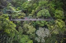 2-in-1 Arenal Hanging Bridges + La Fortuna Waterfall
