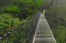 2-in-1 Arenal Hanging Bridges + La Fortuna Waterfall