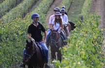 Horseback Riding with Wine Tour from Florence