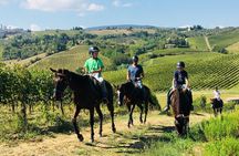 Horseback Riding with Wine Tour from Florence